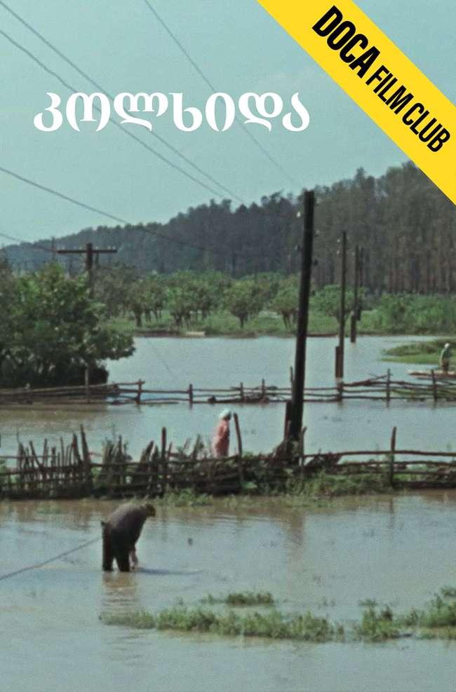 კოლხიდა