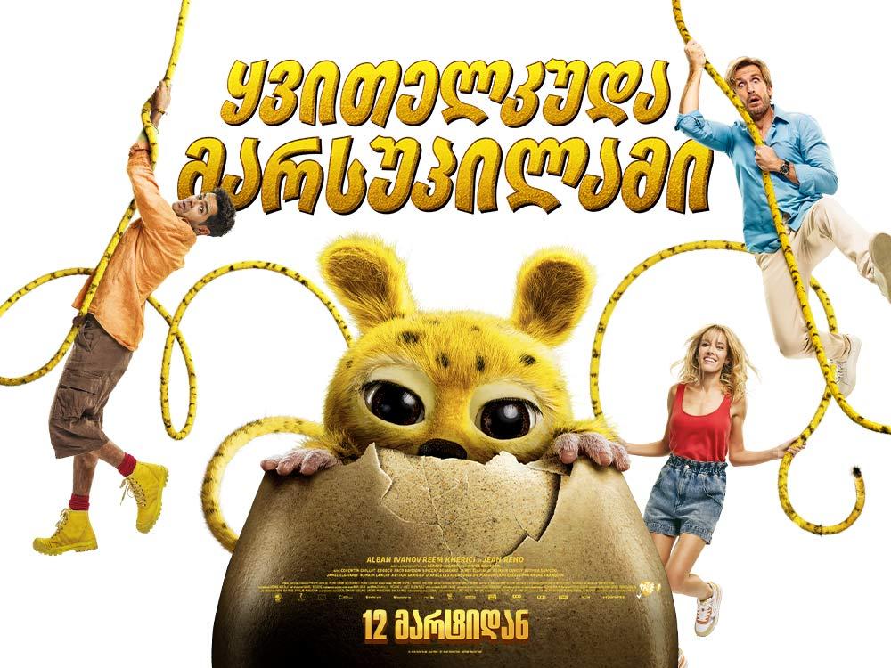 ყვითელკუდა მარსუპილამი